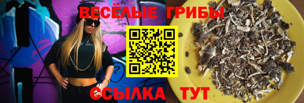 Галлюциногенные грибы Magic Shrooms Карпинск