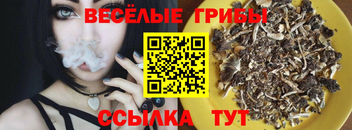 Карпинск  Псилоцибиновые грибы мицелий  Вход с VPN 